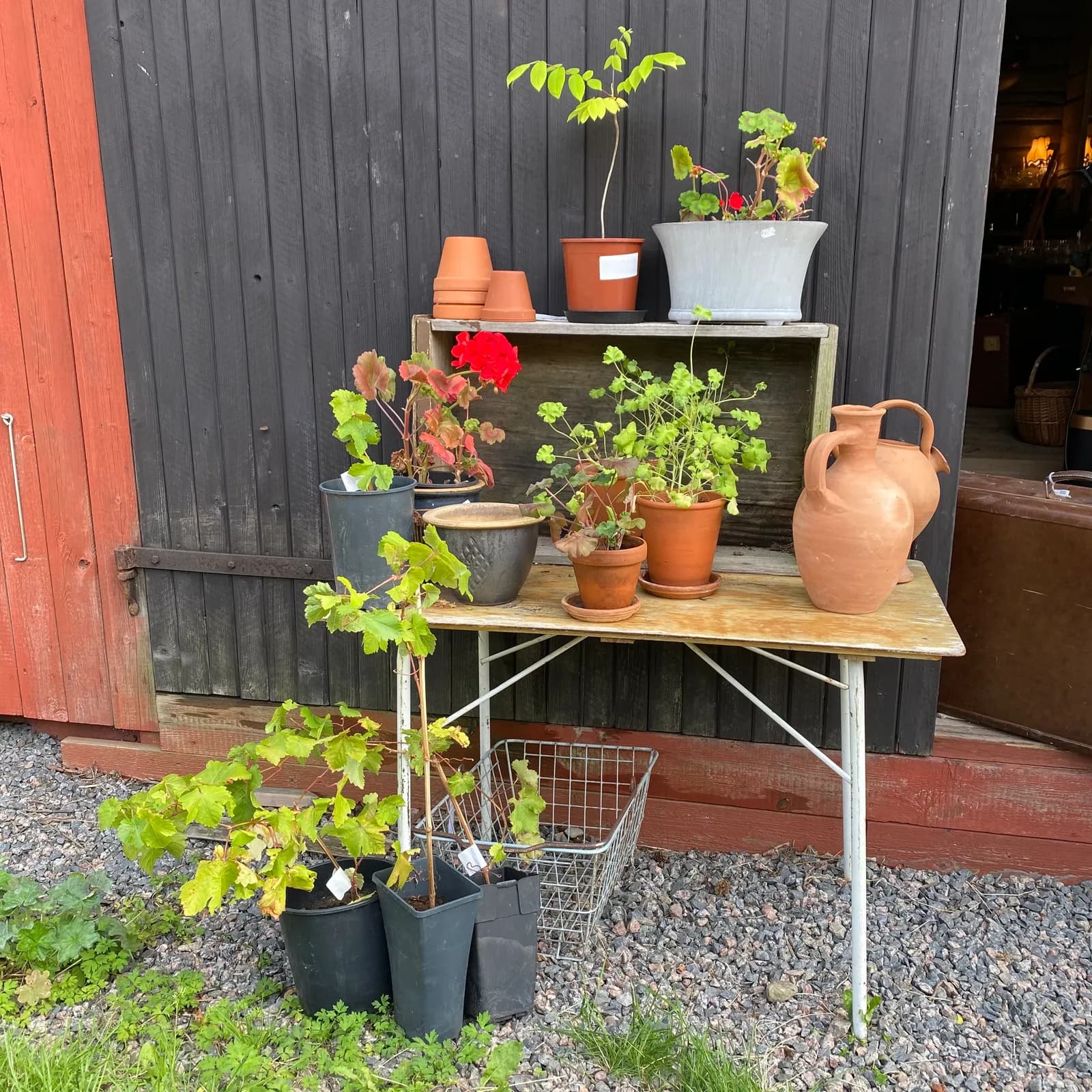 Loppisen där oppe – bild 2